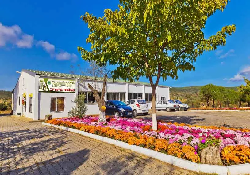 Zeytinyağı Fabrikamız 17 Ekim 2022 Tarihinde Tekrar Faaliyete Geçiyor