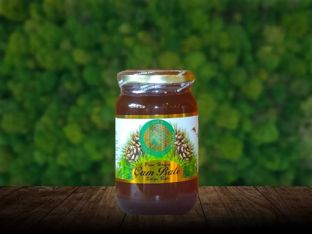 İzmir Arıcılar Birliği Çam Balı 460 G.