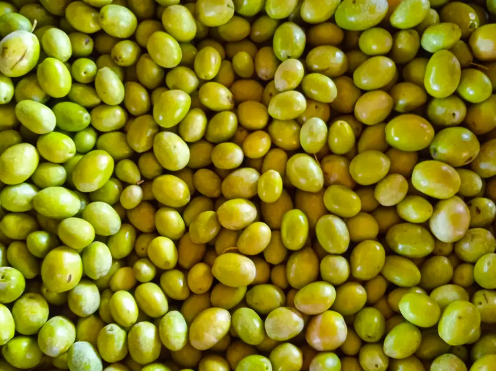 Bademler Yeşil Ham Zeytin Büyük Boy