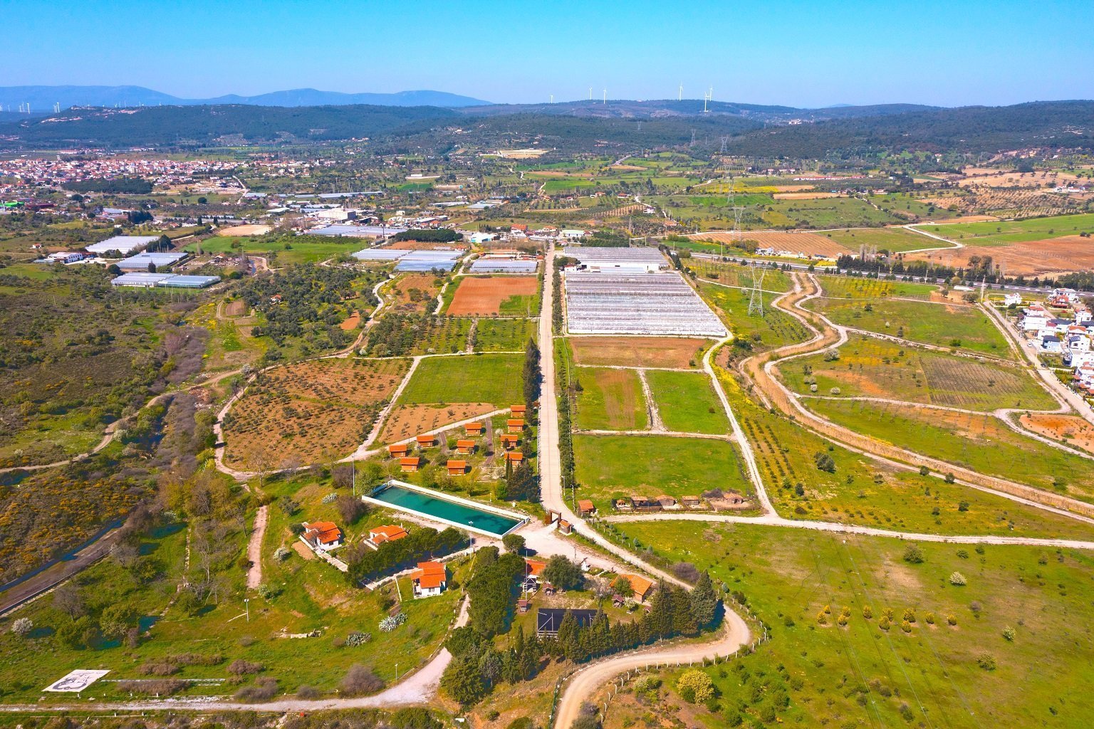 Bademler zeytinlikleri